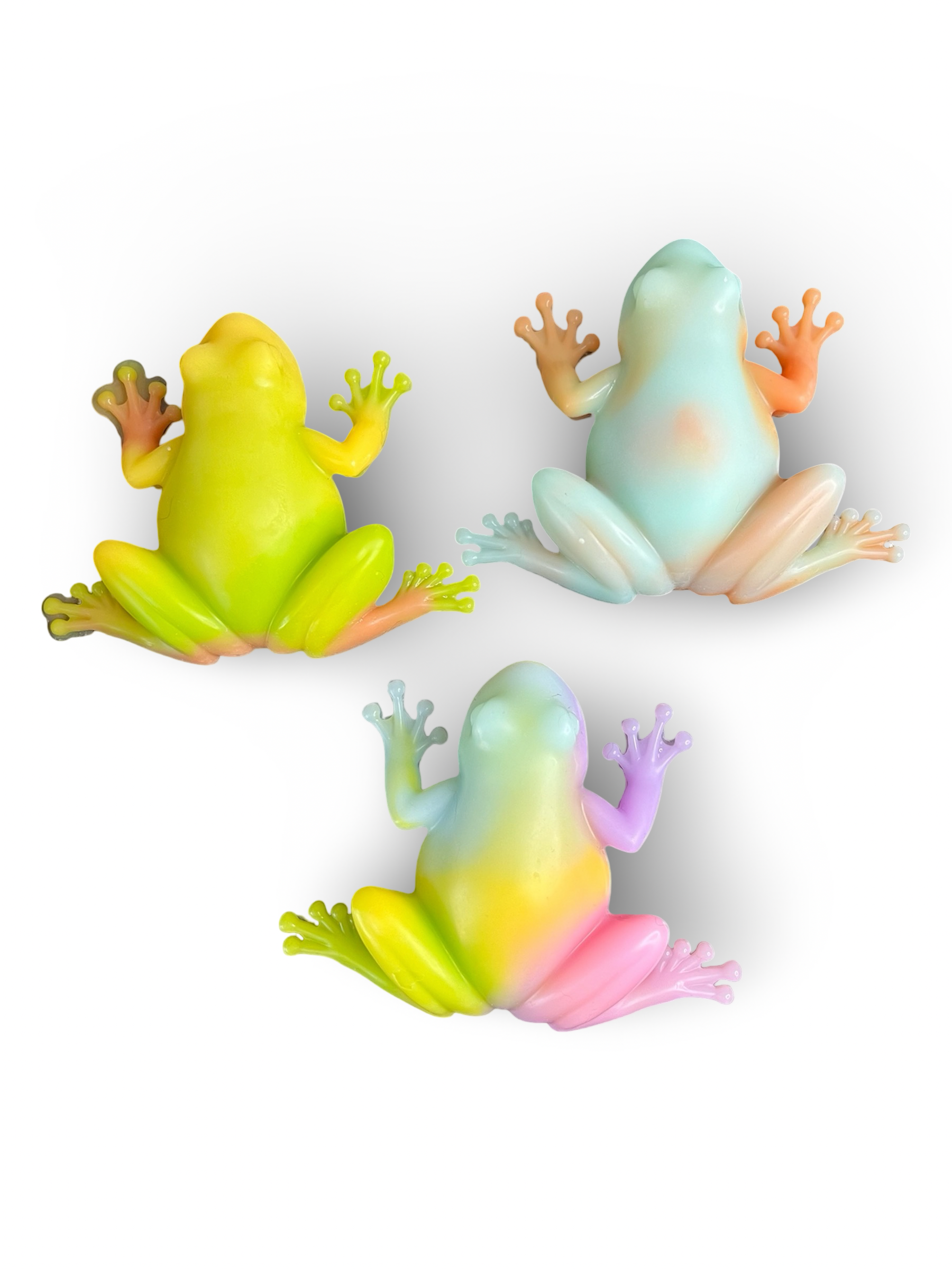 Rainbow Tattooable frog